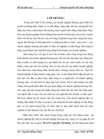 Một số vấn đề về kế toán bán hàng trong doanh nghiệp thương mại