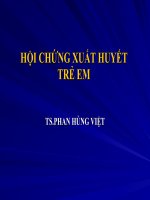Slide hội chứng xuất huyết trẻ em