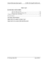 Hoàn thiện công tác kế toán bán hàng và xác định kết quả bán hàng tại Công ty Cổ phần Xuất nhập khẩu Tiến Phát