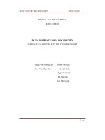 Đề tài Nghiên cứu và thiết kế máy chẻ tre công nghiệp - Luận văn, đồ án, đề tài tốt nghiệp