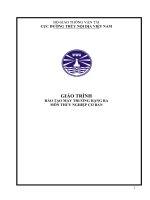 Giáo trình đào tạo máy trưởng hạng ba môn Thủy nghiệp cơ bản  Cục Đường thủy nội địa Việt Nam