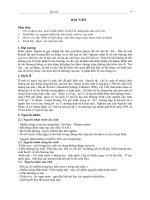 Tài liệu về bệnh bại não ở trẻ