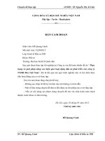 Thực trạng và giải pháp nâng cao hiệu quả hoạt động đầu tư phát triển của công ty TNHH Birz Việt Nam