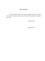 Hoàn thiện kế toán chi phí sản xuất và tính giá thành dịch vụ vận tải hàng hoá tại Công ty Cổ phần Hàng hải Đông Đô