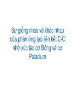 Sự giống nhau và khác nhau của phản ứng tạo liên kết C-C nhờ xúc tác cơ Đồng và cơ Paladium