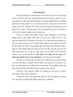 Huy động và sử dụng vốn tại công ty cổ phần dược phẩm Trung Ương I-Pharbaco