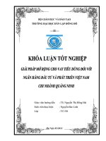 Giải pháp mở rộng cho vay tiêu dùng đối với Ngân hàng Đầu tư và Phát triển Việt Nam, chi nhánh Quảng Ninh