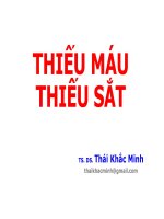 Slide bài giảng   máu thiếu sắt và loãng xương