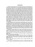 Một số giải pháp nhằm hoàn thiện tình hình Tài chính của Công ty cổ phần dược phẩm trung ương I – Pharbaco