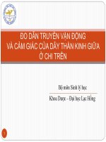 ĐO DẪN TRUYỀN VẬN ĐỘNG VÀ CẢM GIÁC CỦA DÂY THẦN KINH GIỮA Ở CHI TRÊN