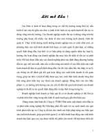 Hoàn thiện hạch toán bán hàng tại Công ty TNHH Nhà nước một thành viên Đầu tư và phát triển nông nghiệp Hà Nội