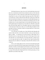 Tổng hợp dẫn xuất flavonoit và xác định các hoạt tính kháng oxi hóa, kháng nấm và khả năng gây độc cho tế bào ung thư