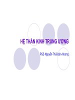 hệ thần kinh trung ương ở người