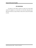 Phát triển thị trường tiêu thụ sản phẩm thức ăn chăn nuôi của công ty cổ phần Dinh dưỡng Hồng  Hà