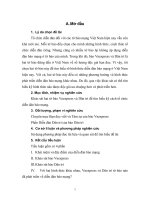 tiểu luận Diễn đàn báo mạng ở Việt Nam hiện nay