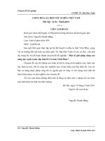 Một số giải pháp nâng cao năng lực cạnh tranh cấp tỉnh PCI ở tỉnh Vĩnh Phúc