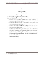 TỔNG HỢP DẪN XUẤT CỦA QUERCETIN VÀ LUTEOLIN