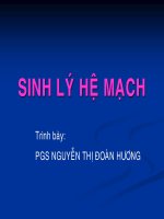 sinh lý mạch ở người
