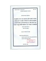 Nghiên cứu tác dụng lên chức năng sinh sản và độc tính của rễ bá bệnh (euricoma longifolia j ) thu hái tại việt nam trên động vật thực nghiệm