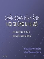Chẩn đoán hình ảnh hội chứng thành ngực - Định nghĩa