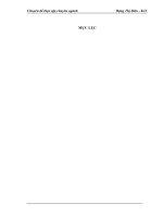 Hoàn thiện kế toán nguyên liệu, vật liệu và công cụ, dụng cụ tại công ty Cổ phần Hưng Long Hà Nội