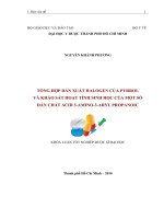 TỔNG HỢP DẪN XUẤT HALOGEN CỦA PYRROL VÀ KHẢO SÁT HOẠT TÍNH SINH HỌC CỦA MỘT SỐ DẪN CHẤT ACID 3-AMINO-3-ARYL PROPANOIC