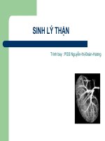 sinh lý thận ở người