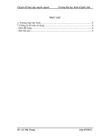 Hoàn thiện kế toán bán hàng và xác định kết quả kinh doanh ” tại Công ty Cổ phần Bóng đèn Phích nước Rạng Đông ( Hà Nội)