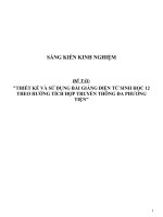 SKKN Thiết kế và sử dụng bài giảng điện tử Sinh học 12 theo hướng tích hợp truyền thông đa phương tiện