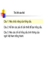 Slide đại cương về thiếu máu