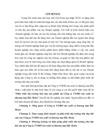 Phát triển thị trường tiêu thụ sản phẩm tại Công ty TNHH sản xuất và thương mại Bắc Hoàn