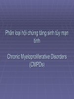 Slide phân loại hội chứng tăng sinh tủy mạn tính