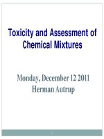 Toxicity and Assessment of Chemical Mixtures