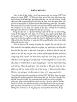 BÁO cáo CÔNG tác GIẢNG dạy   mỹ