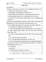 Một số giải pháp phát triển thị trường tại công ty  cổ phần  GOODHEALTH VIỆT NAM