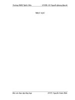 Đánh giá thức trạng công tác hạch toán kế toán tại Công ty Cổ phần đầu tư và thương mại Bình Tây