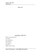 Tổ chức công tác kế toán bán hàng và xác định kết quả kinh doanh kinh doanh tại Công ty TNHH TM& DV Mạnh Long