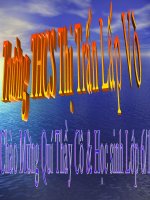 Lớp hai lá mầm và lớp 1 lá mầm