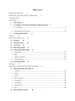 Báo cáo ĐTM dự án đầu tư xây dựng khu dân cư đường phan đình phùng TP  quảng ngãi