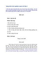 Sáng kiến kinh nghiệm luyện chữ lớp 2