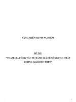 SKKN Tham gia công tác Tự đánh giá để nâng cao chất lượng giáo dục THPT