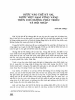 Bước vào thế kỷ XXI nước Việt Nam vững vàng trên con đường phát triển và hội nhập