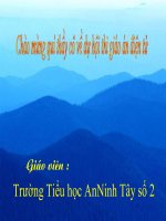 Bài 25 Nhân hoá.Ôn tập cách đặt và trả lời câu hỏi vì sao