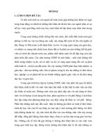 tiểu luận Những khó khăn tâm lý trong hoạt động học tập của sinh viên các dân tộc thiểu số năm thứ nhất trường CĐSP Sơn La