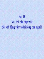 Bài 48: VAI TRÒ CỦA THỰC VẬT ĐỐI VỚI ĐỘNG VẬT VÀ ĐỜI SỐNG CON NGƯỜI