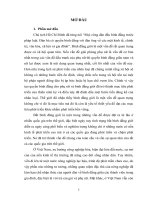 luận văn thạc sĩ Thực trạng bất bình đẳng giới đối với phụ nữ trong gia đình ở xã Tân Lập-Sông Lô- Vĩnh Phúc.