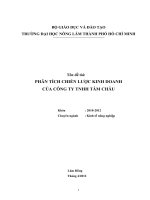 Phân tích chiến lược kinh doanh Công ty TNHH Tâm Châu