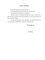 luận văn Giải quyết việc làm cho lao động thanh niên nông thôn ở huyện Nghi Lộc tỉnh Nghệ An