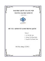 tiểu luận đề tài kinh tế xanh trung quốc