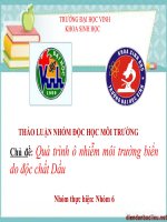 Quá trình ô nhiễm môi trường biển do độc chất dầu